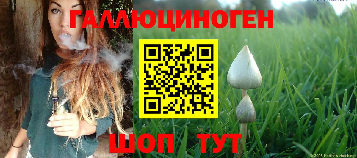 Галлюциногенные грибы GOLDEN TEACHER  Галлюциногенные грибы Psilocybine cubensis  Вход с VPN  Мурино 